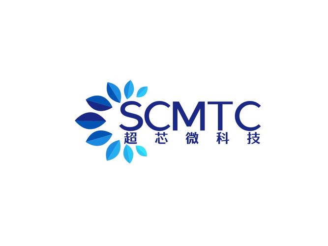 曹婷与半导体器件专用设备制造 赋能芯片产业的精工之路